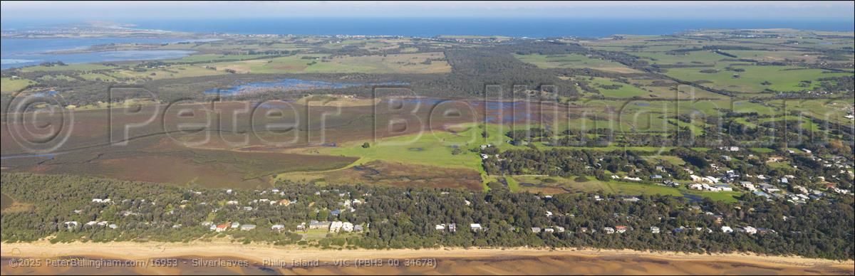 Peter Bellingham Photography Silverleaves - Philip Island - VIC (PBH3 00 34678)